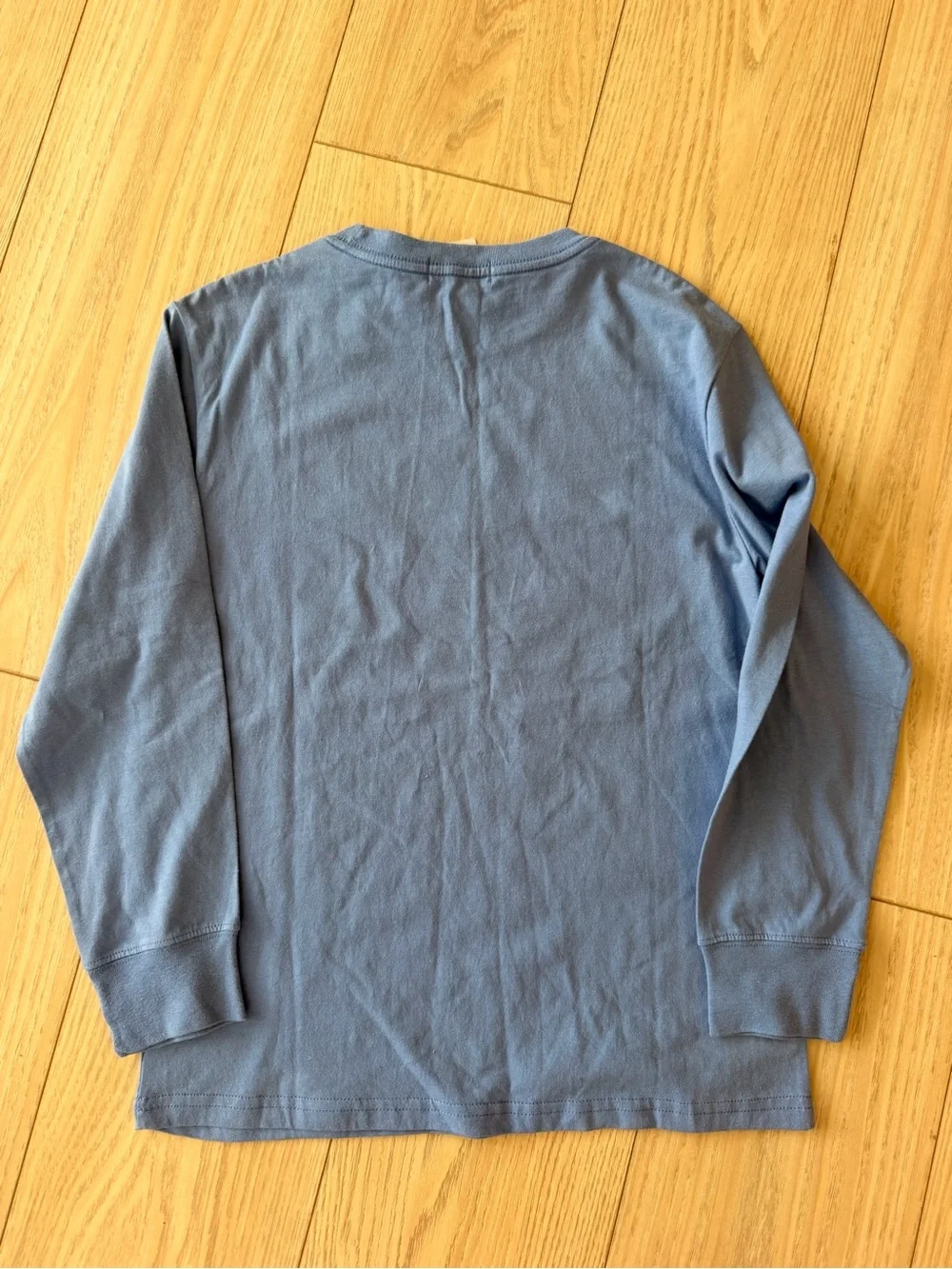 Polo by Ralph Lauren Long-Sleeve Graphic Tee - Light Blue